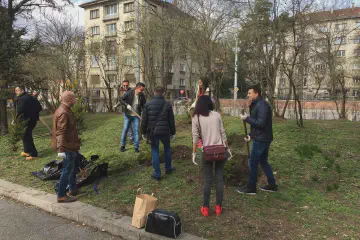Planting of trees in Sofia 7