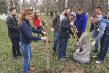 Planting of trees in Sofia 9