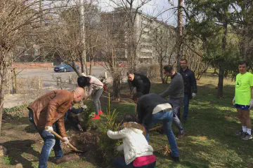Planting of trees in Sofia 1